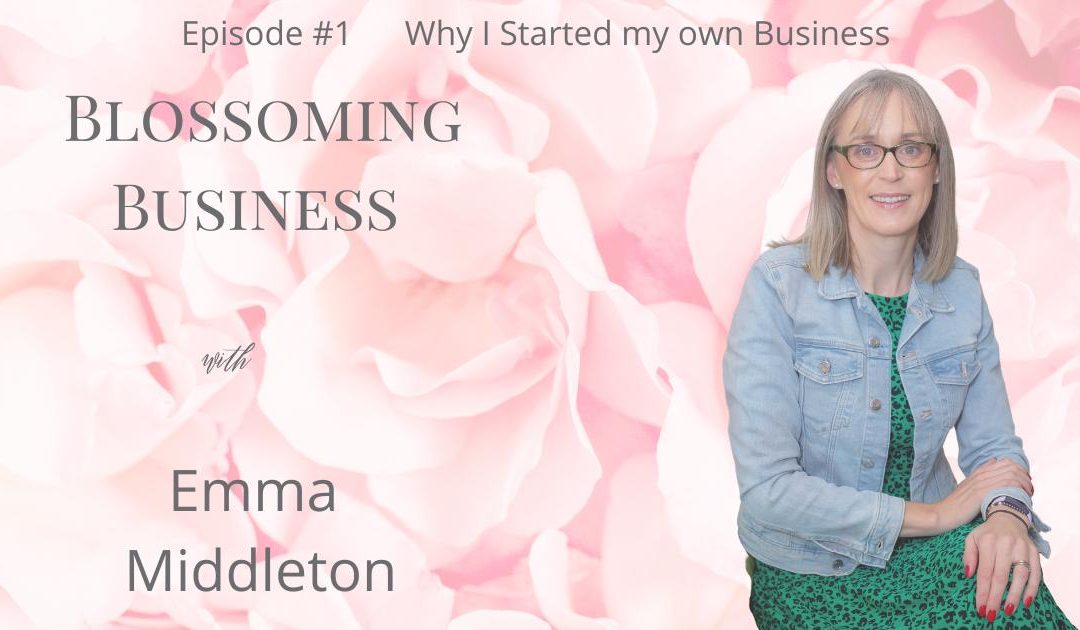 why i started my business