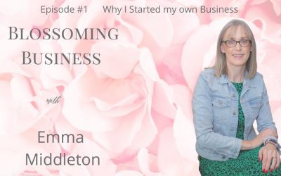Podcast #1 Why? I started my business