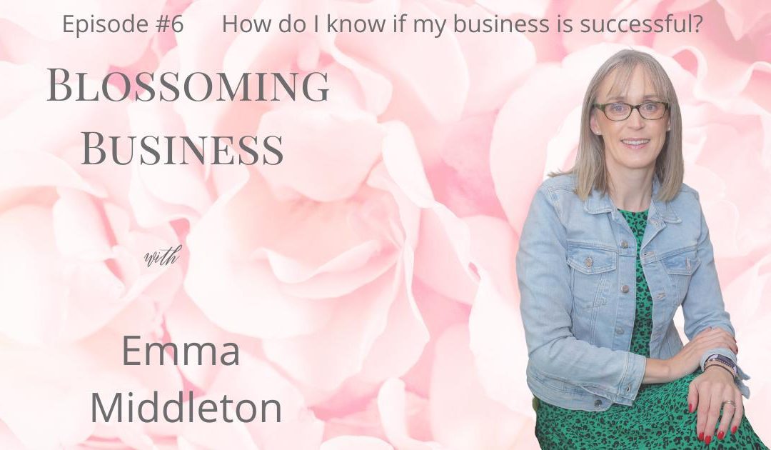 Podcast #6 What is a successful business?