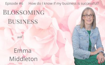 Podcast #6 What is a successful business?