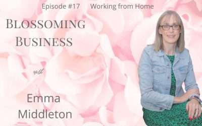 Podcast #17 Working from home